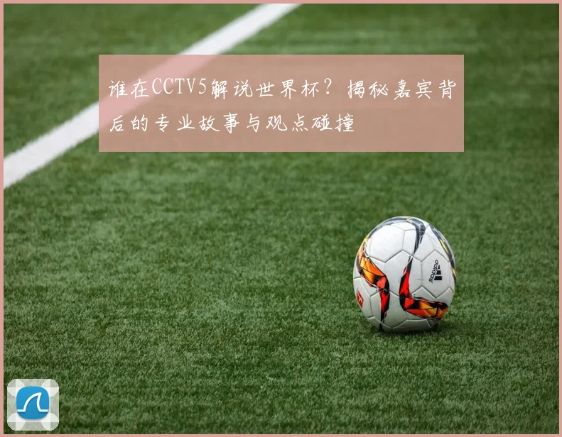 谁在CCTV5解说世界杯？揭秘嘉宾背后的专业故事与观点碰撞