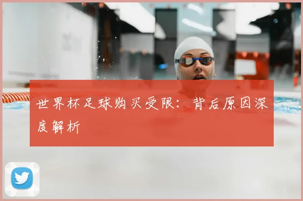 世界杯足球购买受限：背后原因深度解析