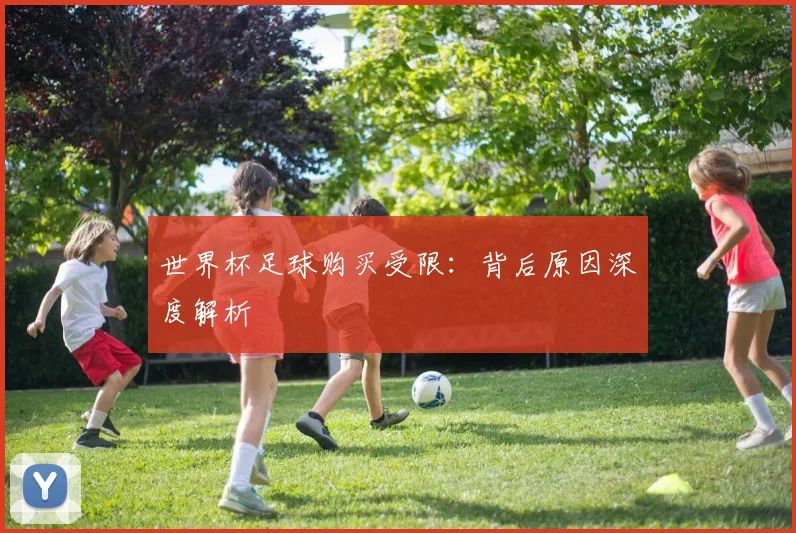 世界杯足球购买受限：背后原因深度解析